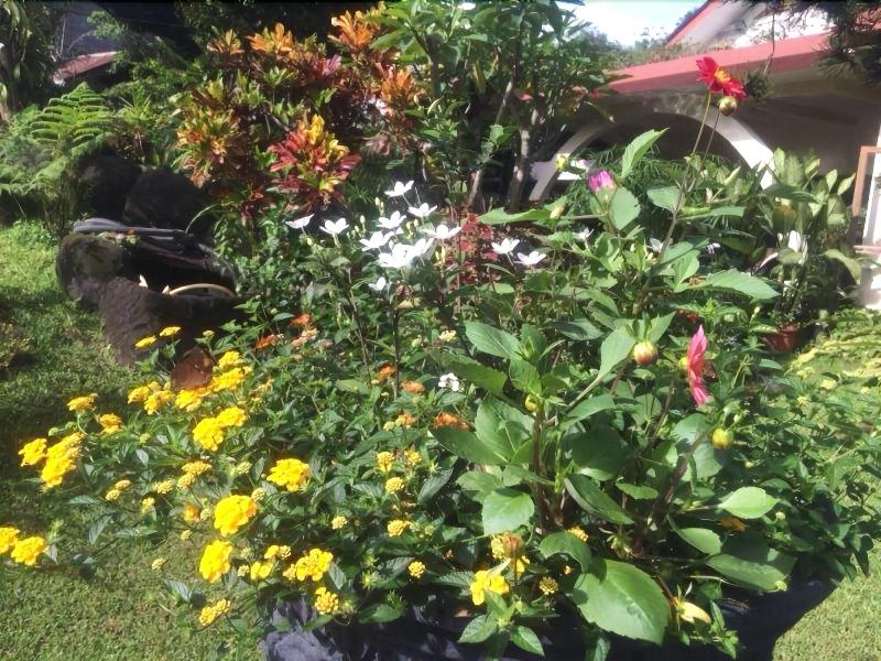 The Garden Family Guest House image