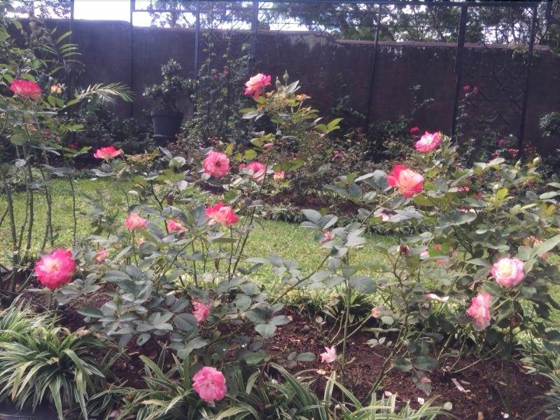 The Garden Family Guest House image