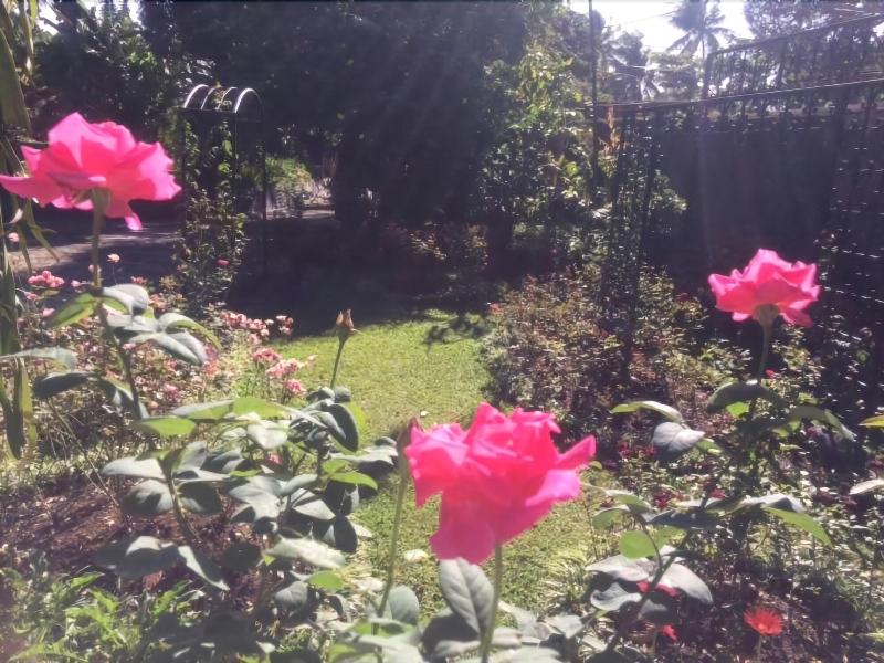The Garden Family Guest House image