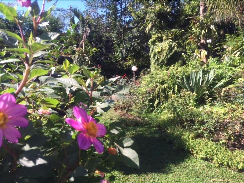 The Garden Family Guest House image