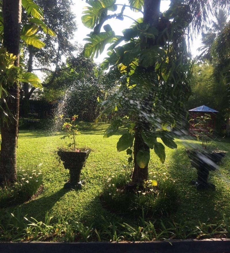 The Garden Family Guest House image