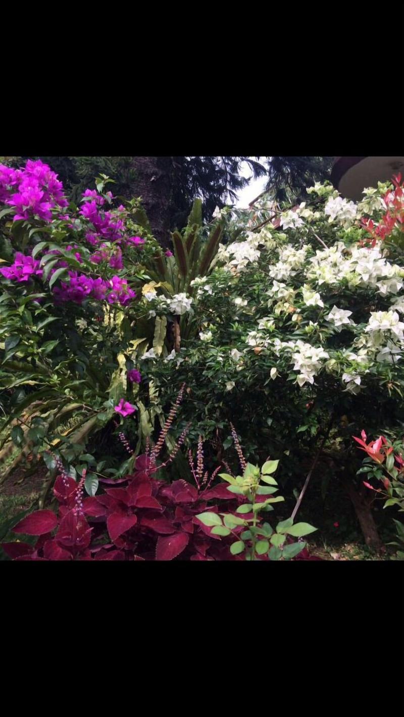 The Garden Family Guest House image