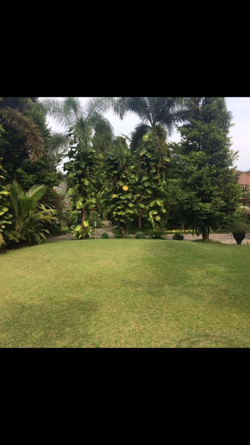 The Garden Family Guest House image