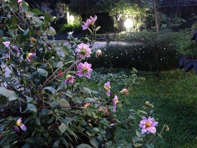 The Garden Family Guest House image