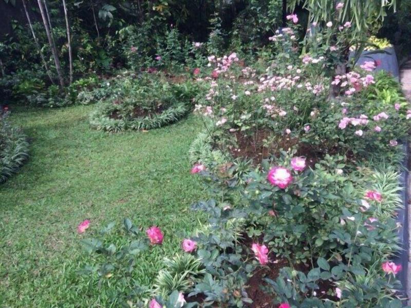 The Garden Family Guest House image