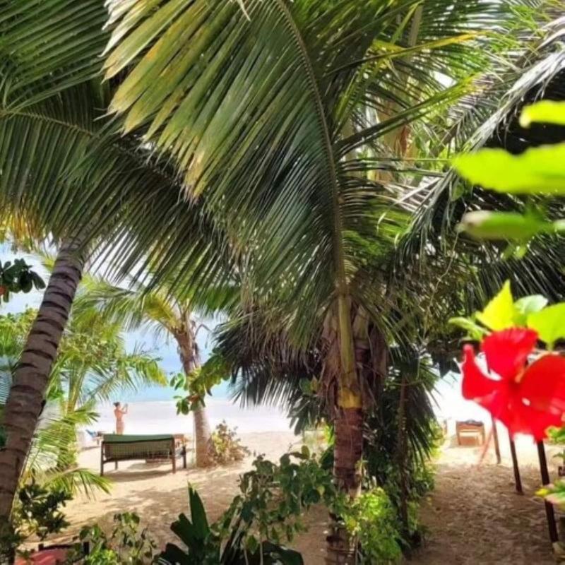 Sipano Beach Lodge Zanzibar image