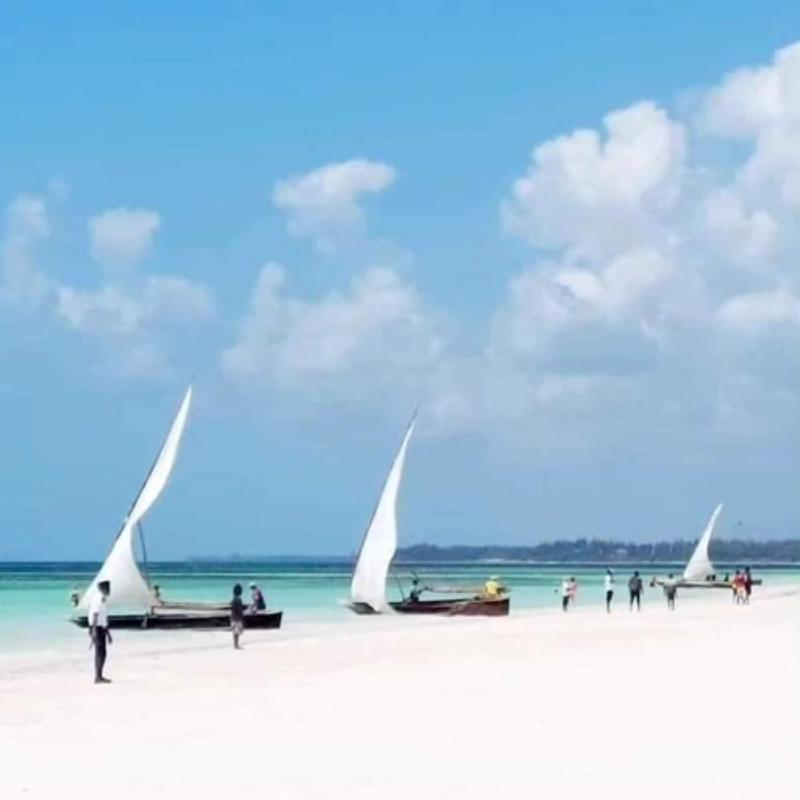Sipano Beach Lodge Zanzibar image