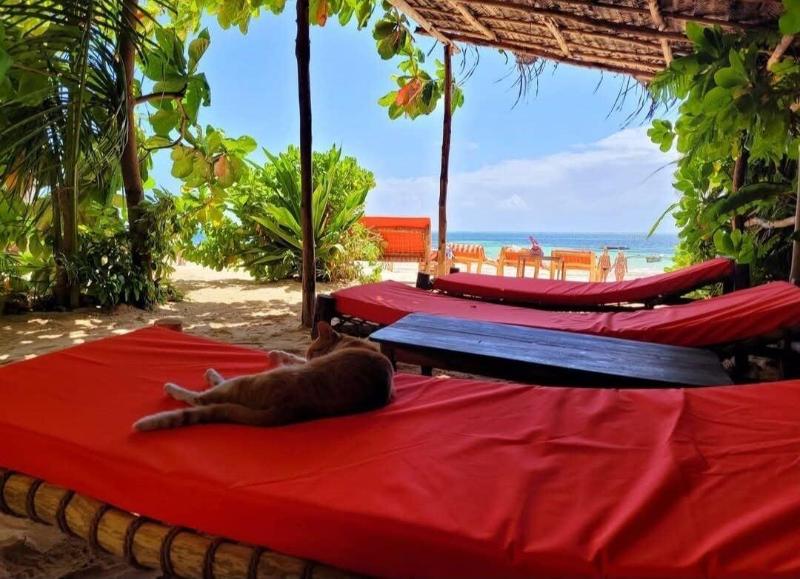 Sipano Beach Lodge Zanzibar image