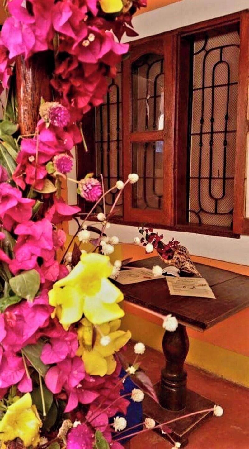 Sipano Beach Lodge Zanzibar image