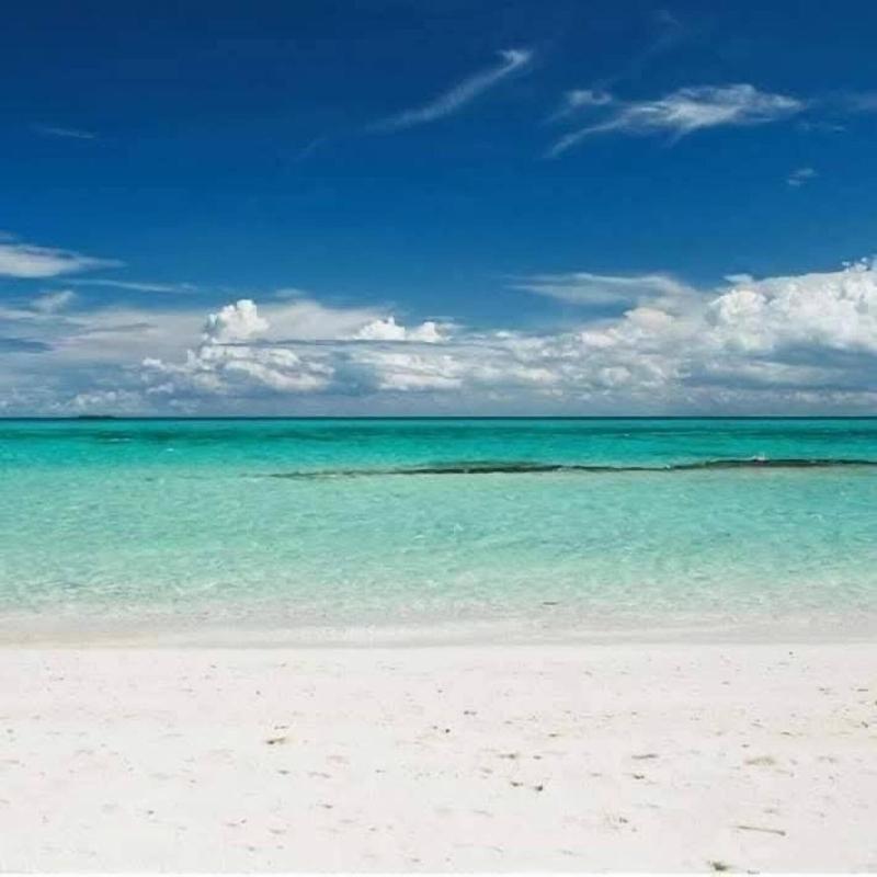 Sipano Beach Lodge Zanzibar image