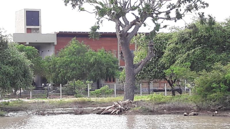 Tree Tops Yala image