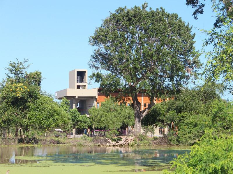 Tree Tops Yala image