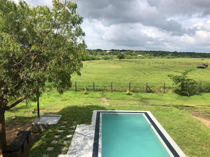 Tree Tops Yala image
