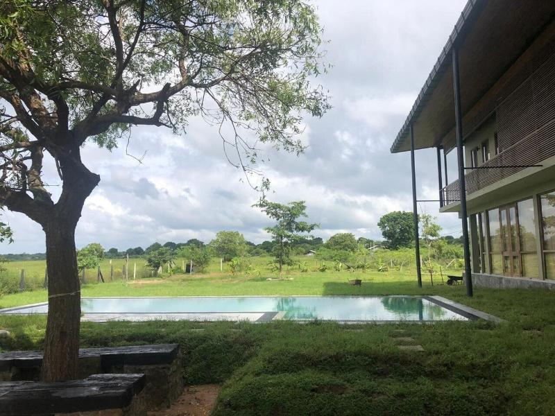 Tree Tops Yala image