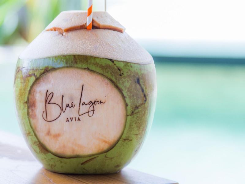 Blue Lagoon Avia Villas image