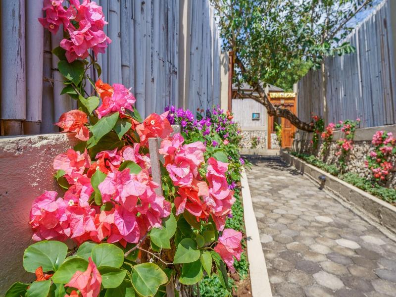 Blue Lagoon Avia Villas image