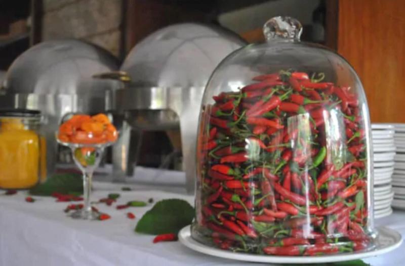 Willows Boutique Hotel image