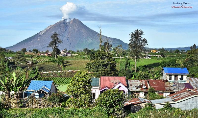 Berastagi Nachelle Homestay image