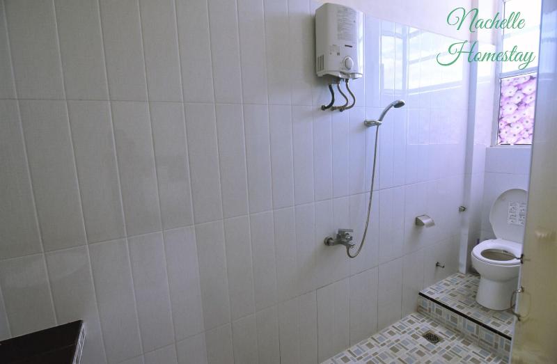 Berastagi Nachelle Homestay image