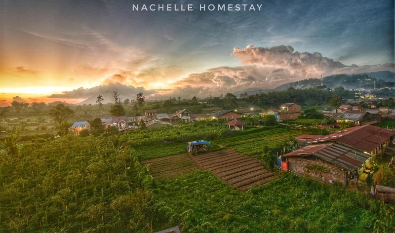 Berastagi Nachelle Homestay image