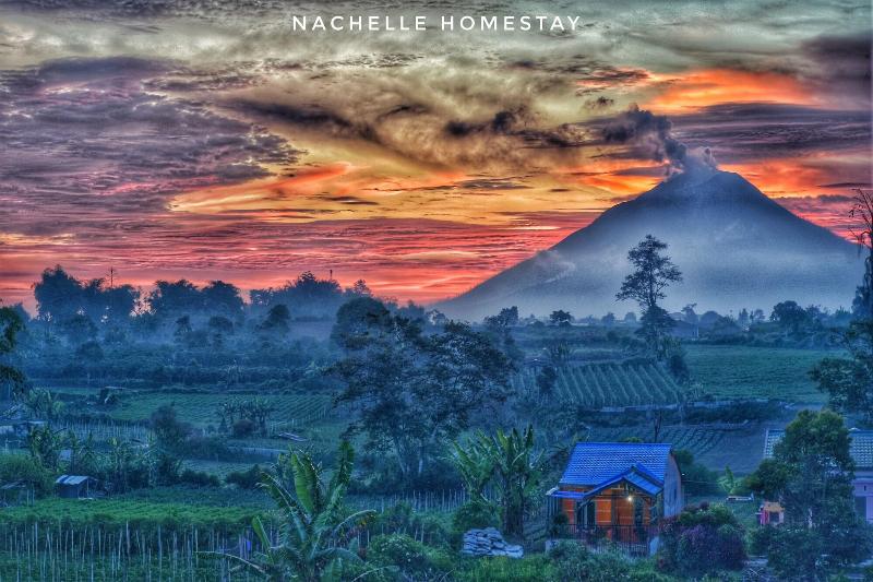 Berastagi Nachelle Homestay image