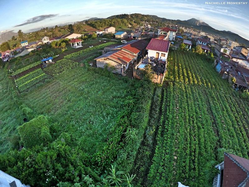 Berastagi Nachelle Homestay image