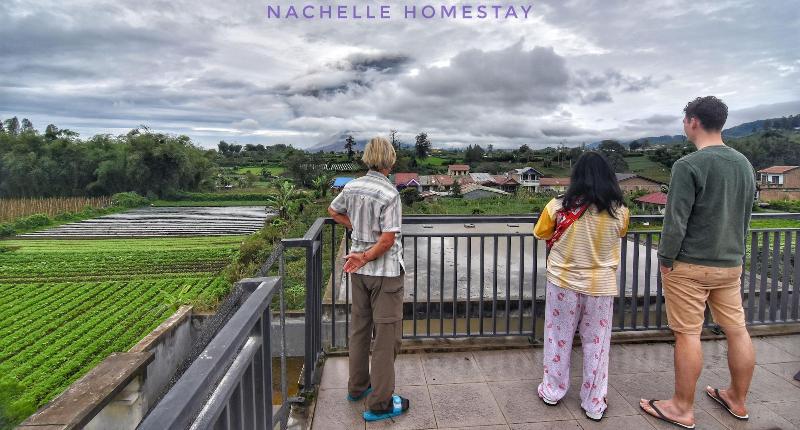 Berastagi Nachelle Homestay image