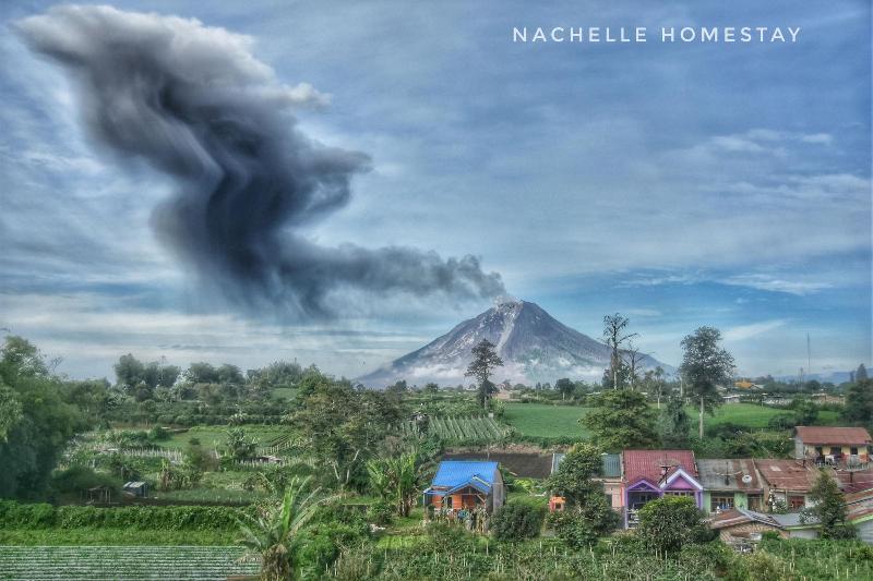 Berastagi Nachelle Homestay image