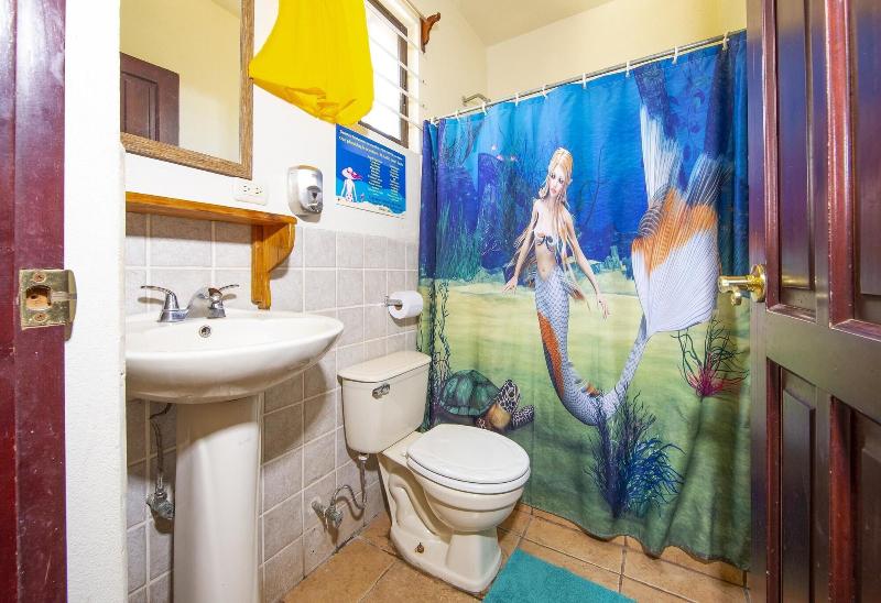 Cabinas Diversion Tropical image