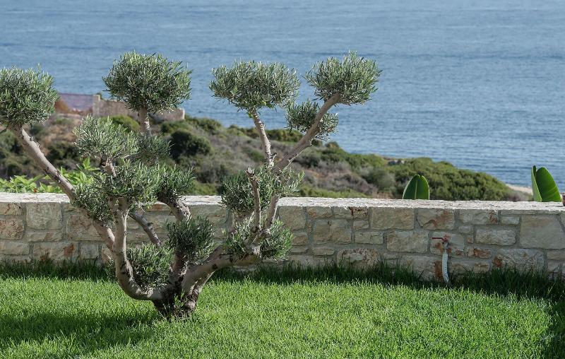 Aliv Stone Suites & Spa image