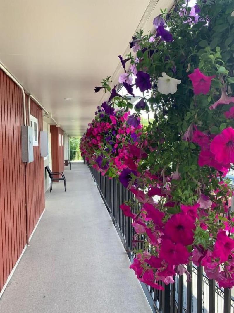 Okanagan Royal Park Inn By Elevate Rooms — general view