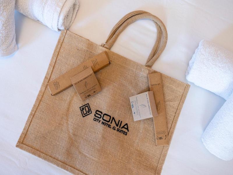 Hotel Sonia image