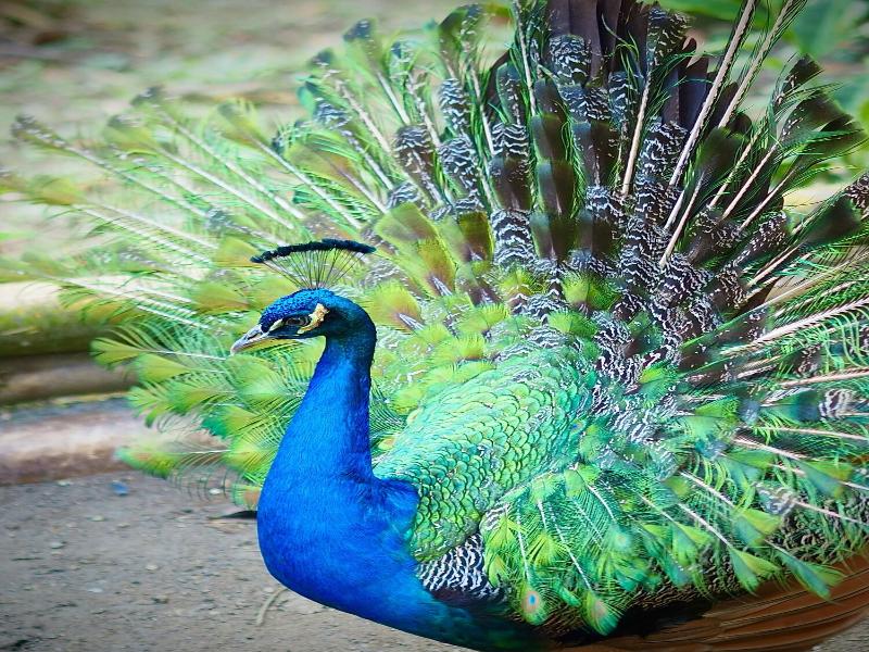 Reserva Natural Tierra Adentro image