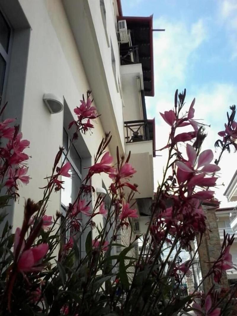 Hotel Morfeas — general view