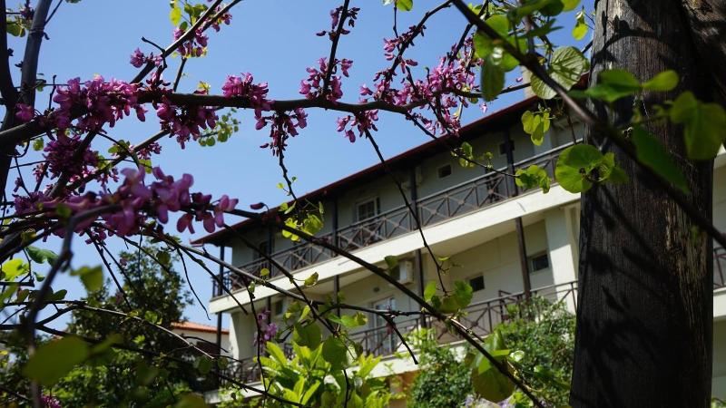 Hotel Morfeas — general view