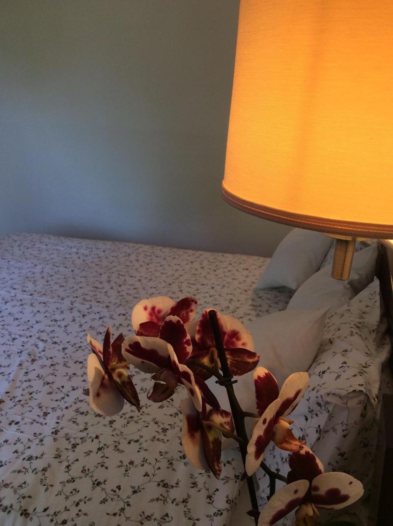 Hotel Morfeas image