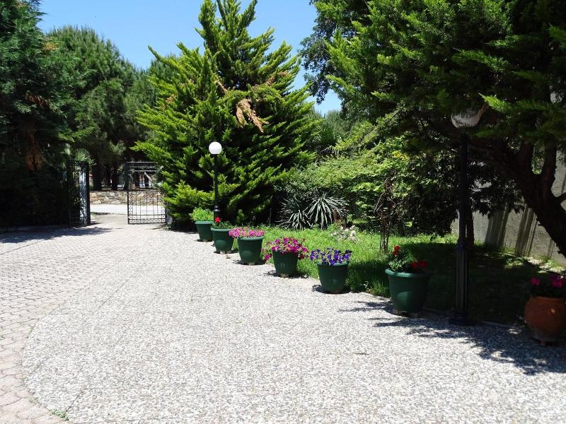 Olympus Hotel Villa Drosos image