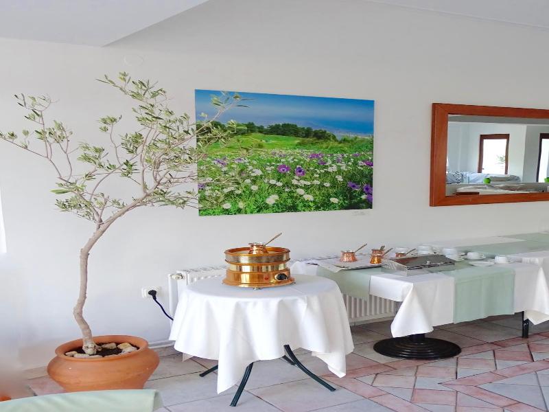 Olympus Hotel Villa Drosos image