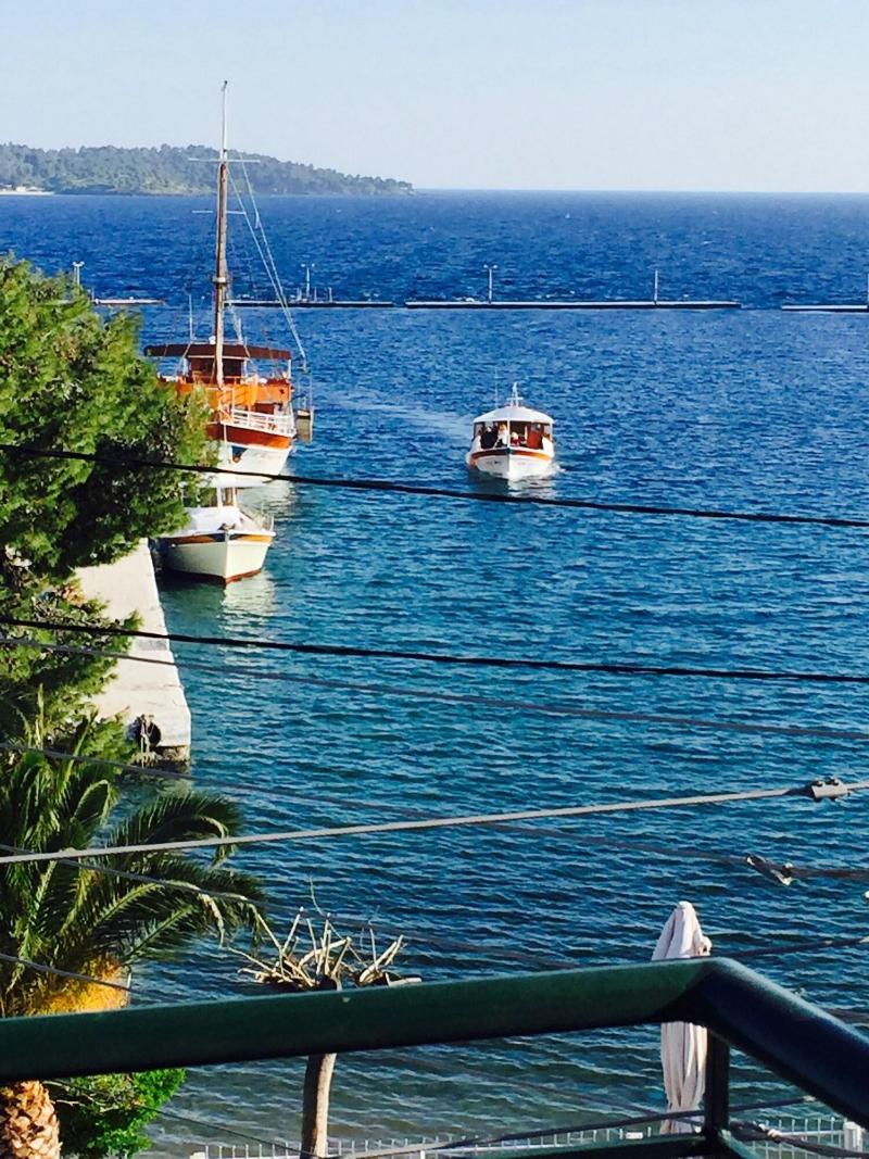Hotel Papagalos — general view