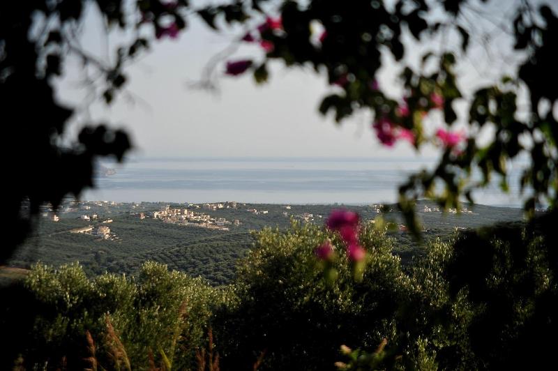 Elia Traditional Hotel & Spa image