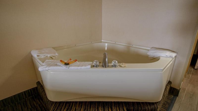 Americana Motor Inn image