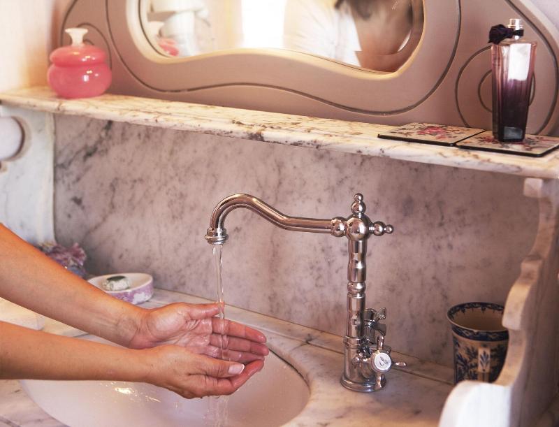 Amaryllis Boutique Guest House image