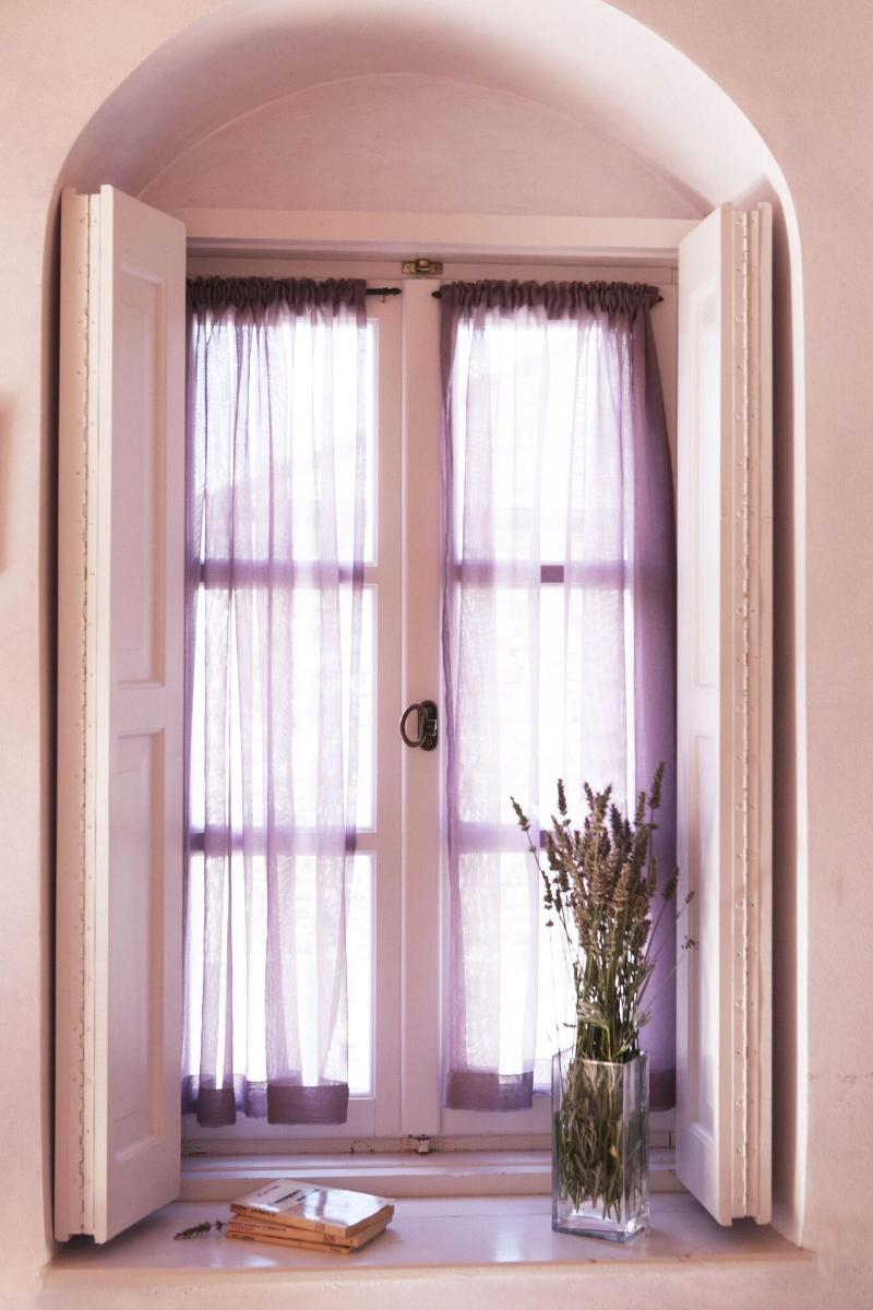 Amaryllis Boutique Guest House image