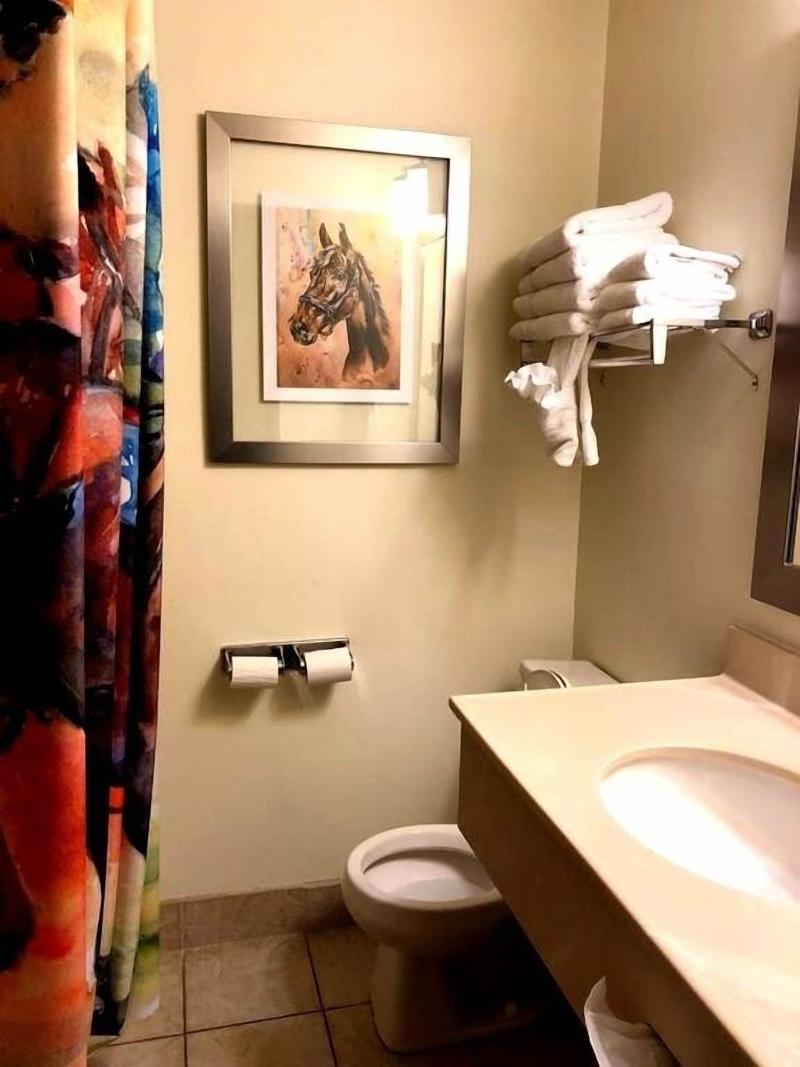 Cedar Stables Inn And Suites image