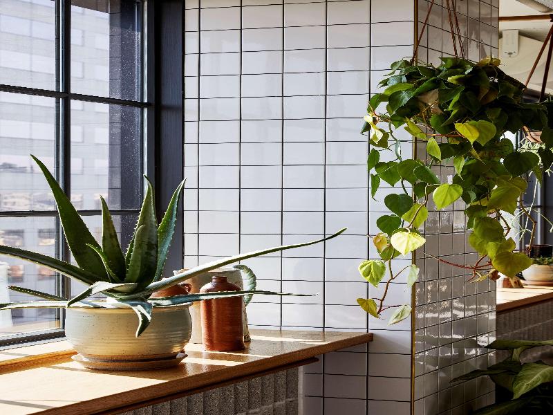 The Hoxton Portland image