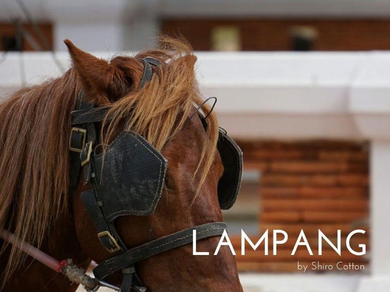 Kanecha's Home Lampang image