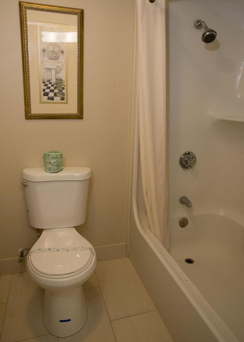 Hampton Falls Inn image