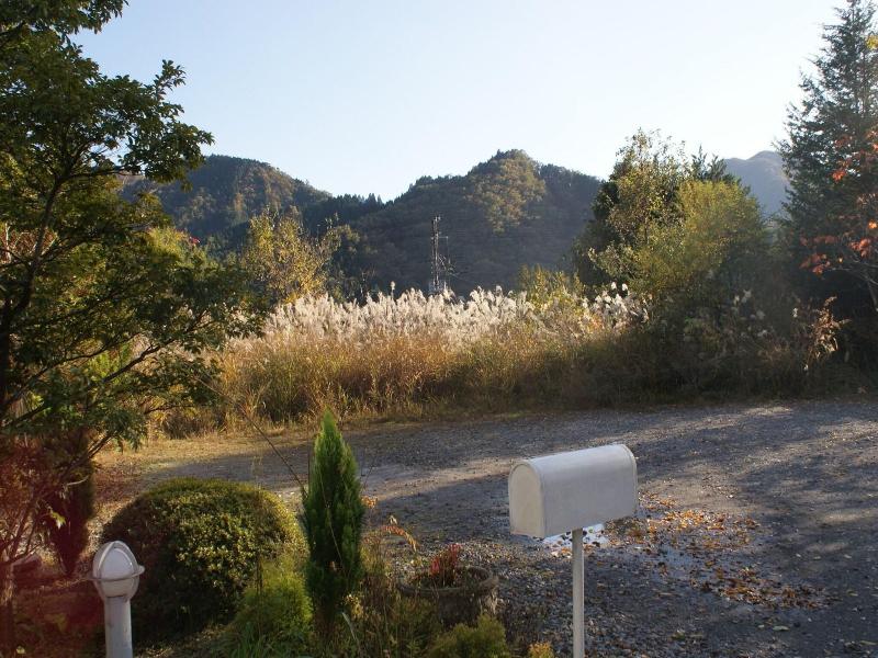 Gasthof Ami image