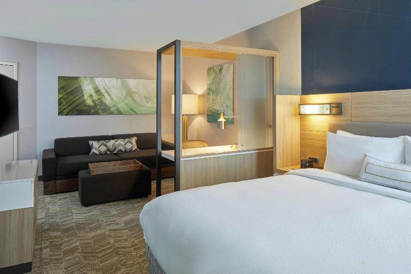 Springhill Suites By Marriott Charlotte At Carowin image
