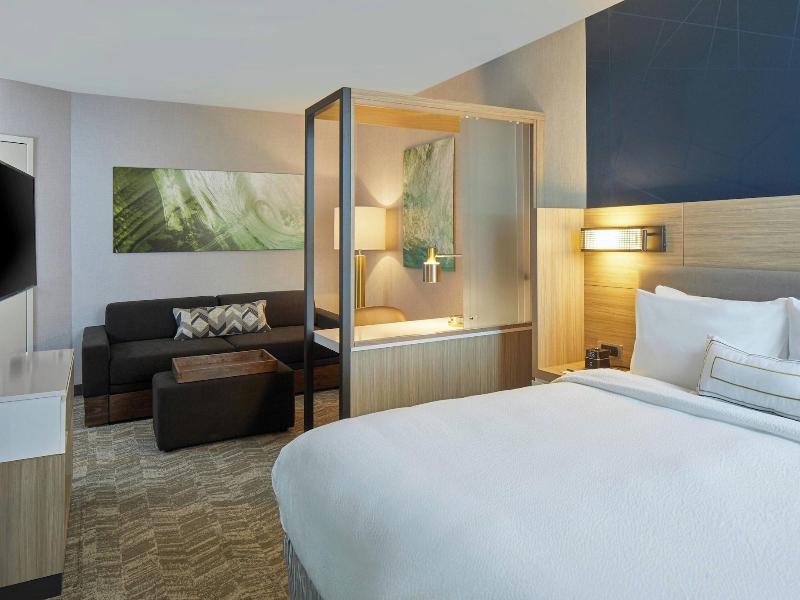 Springhill Suites By Marriott Charlotte At Carowin image